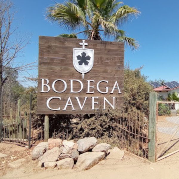 bodegacaven