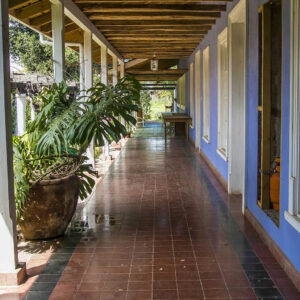quinta-maria