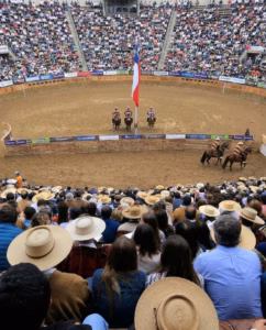 medialuna rancagua